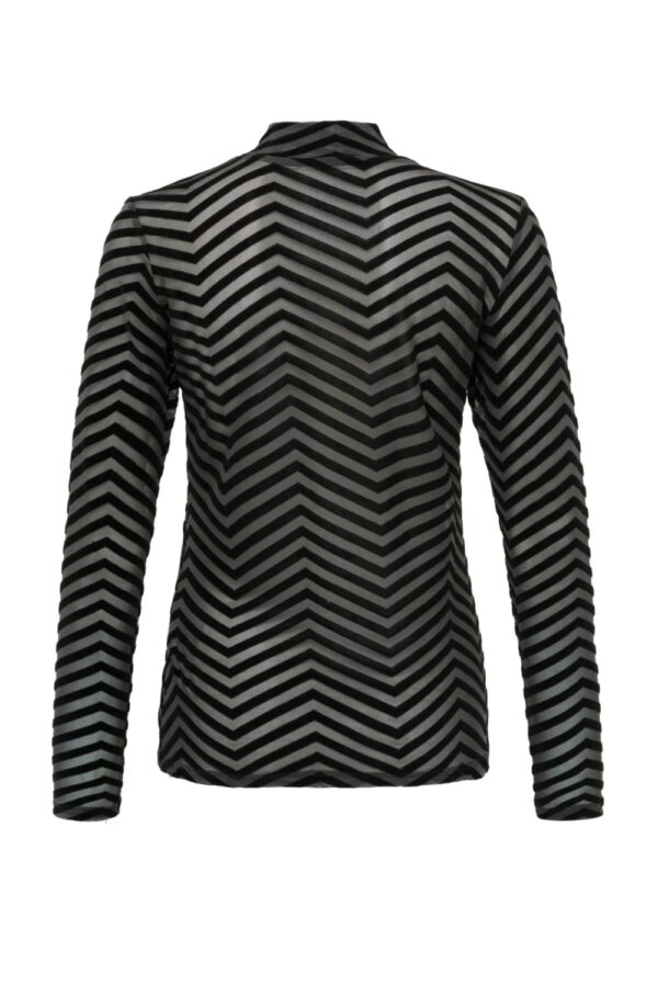 mesh top with high neck long sleeves and velvet print phantom yaya3